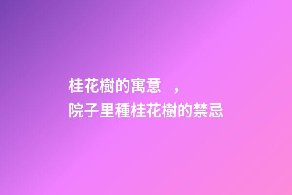 桂花樹的寓意，院子里種桂花樹的禁忌